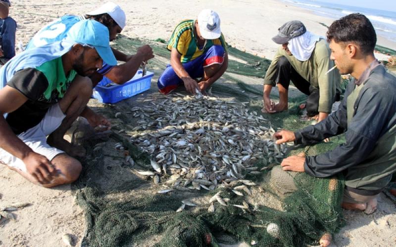 صور..صيد الأسماك في بحر غزة