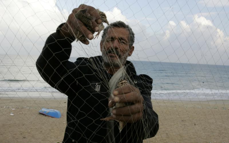 بالصور في غزة.. صيد طيور السمان (الفر)