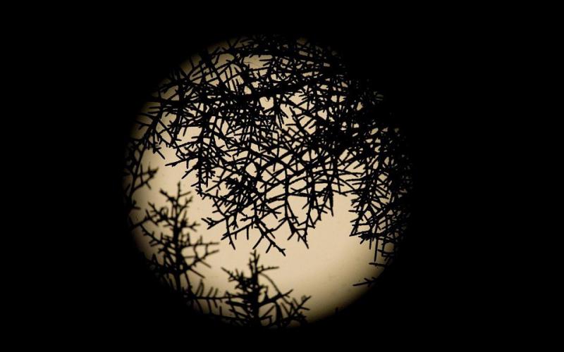صور .. القمر الأزرق ..ظاهرة فلكية مبهرة