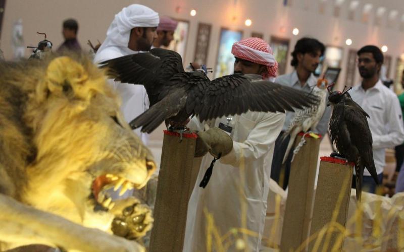 بالصور.. مهرجان أبو ظبي للصيد والفروسية