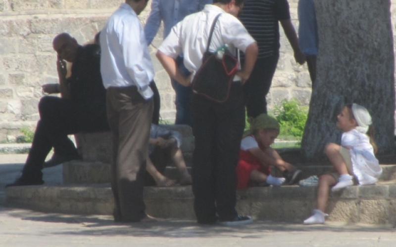 صور..مغتصبون يؤدون شعائر تلمودية بالأقصى