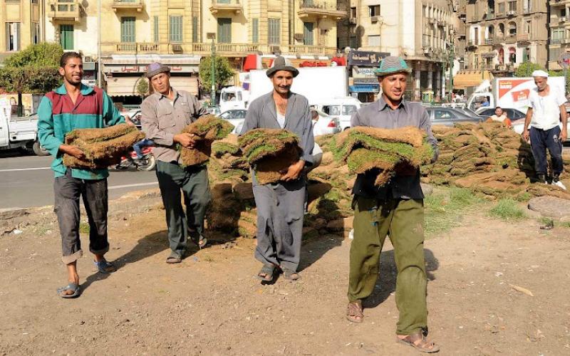 صور.. تجميل ميدان التحرير بالقاهرة