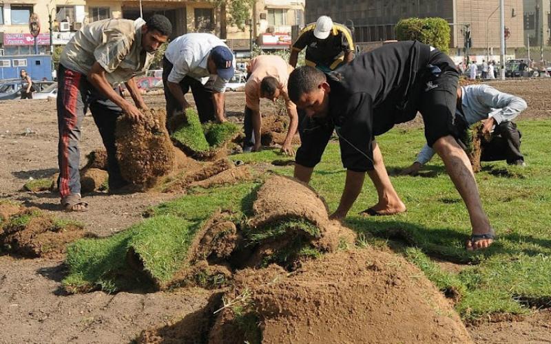 صور.. تجميل ميدان التحرير بالقاهرة