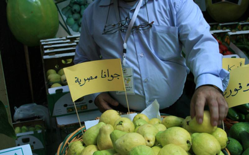 صور: مهرجان "الجوافة" في قلقيلية