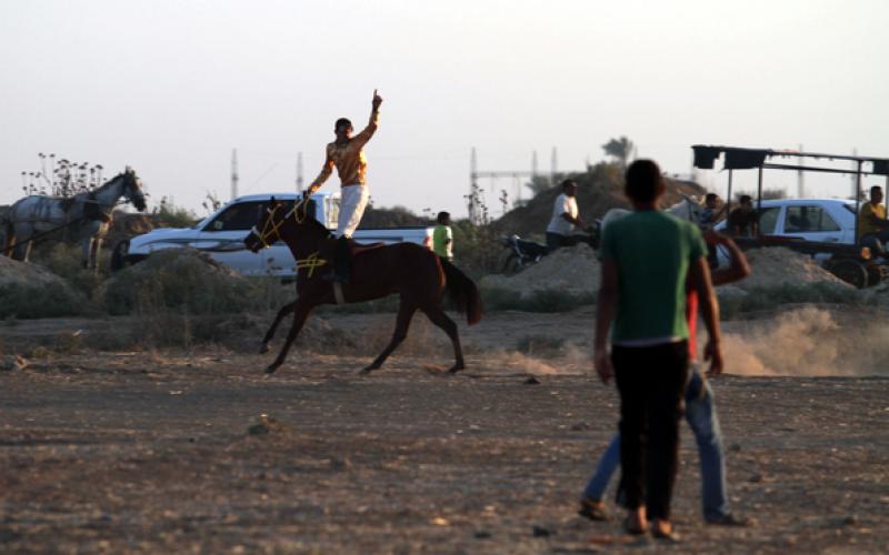 صور: سباق الخيول شمال قطاع غزة