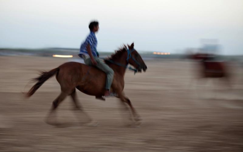 صور: سباق الخيول شمال قطاع غزة