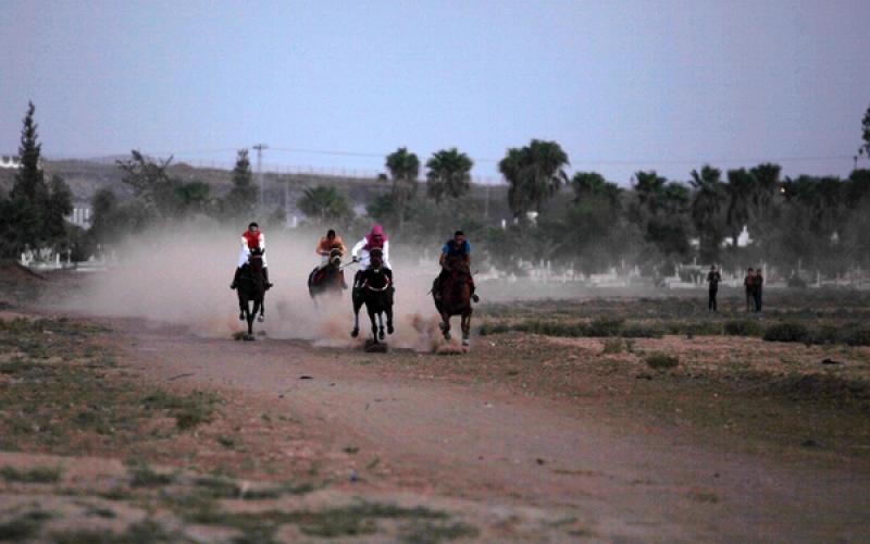 صور: سباق الخيول شمال قطاع غزة