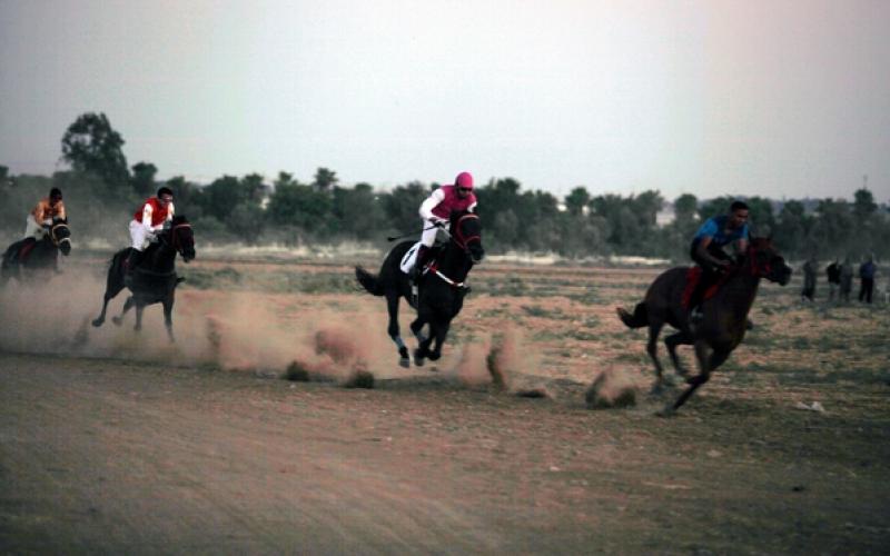 صور: سباق الخيول شمال قطاع غزة