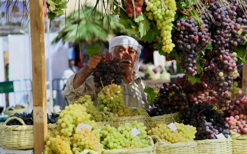 صور: مهرجان العنب بالخليل