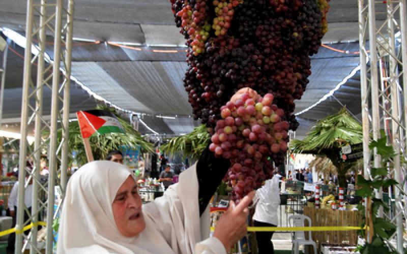 صور: مهرجان العنب بالخليل