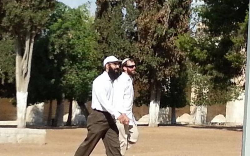 صور: اقتحام المستوطنين للأقصى صباح اليوم