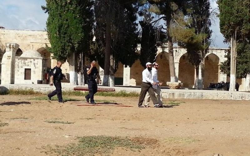 صور: اقتحام المستوطنين للأقصى صباح اليوم