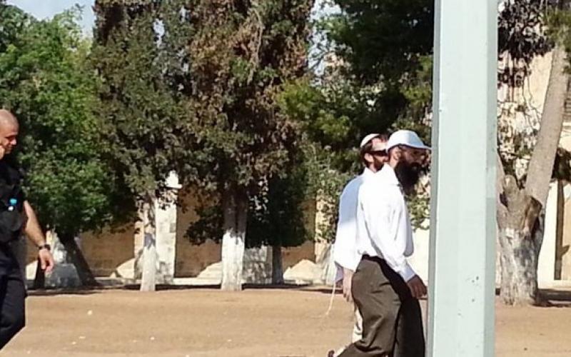 صور: اقتحام المستوطنين للأقصى صباح اليوم