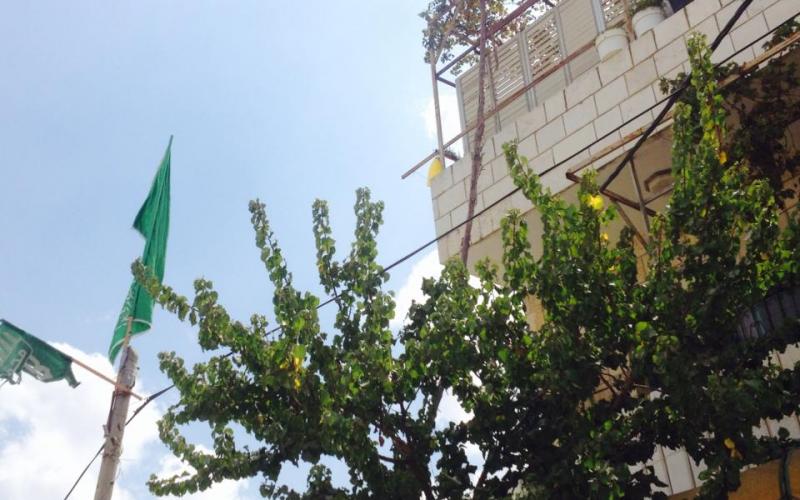 صور: رايات حماس تزين شوارع "مادما" بنابلس