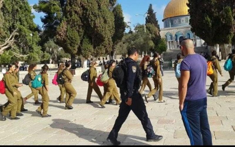 صور: مستوطنون ومجندات يدنّسون "الأقصى"