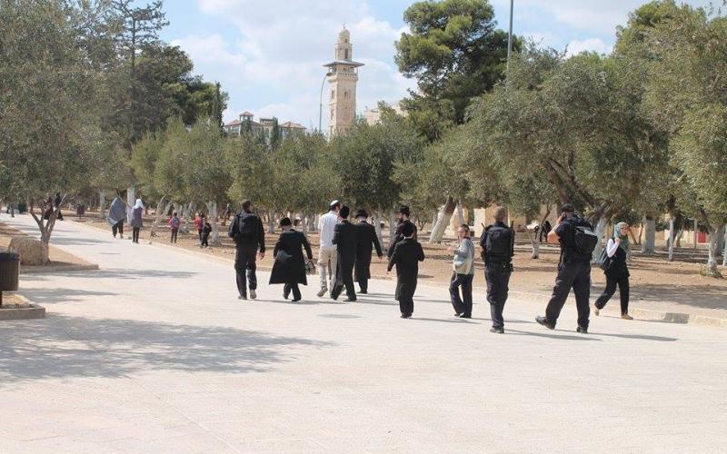 صور: مستوطنون ومجندات يدنّسون "الأقصى"