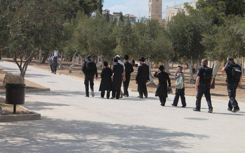 صور: مستوطنون ومجندات يدنّسون "الأقصى"