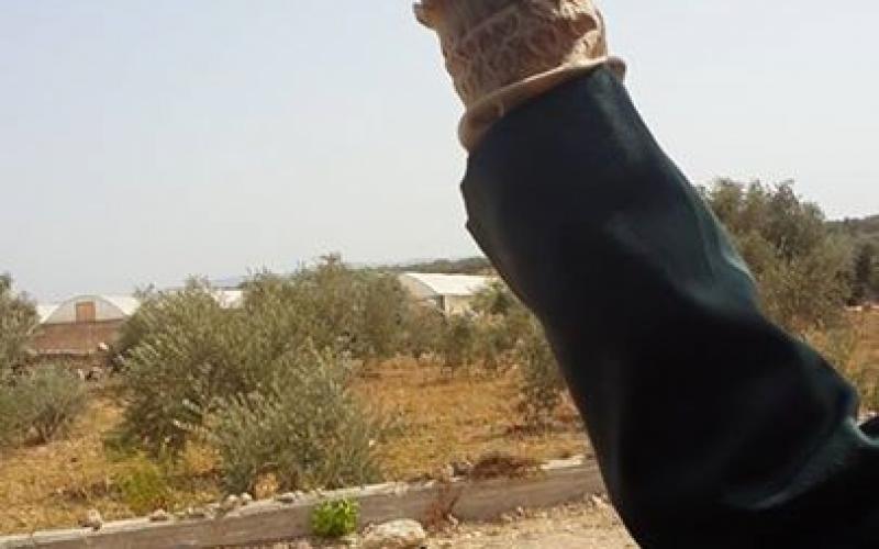 صور: اسقبال المحررة ريم حمارشة (40 عاماً)