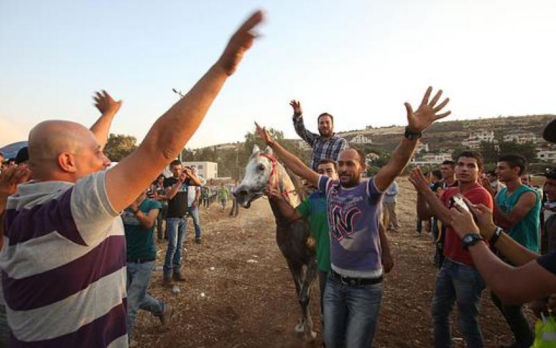صور.. الحصان "إدوارد" بطل فلسطين للسرعة