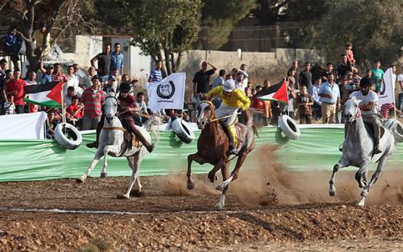 صور.. الحصان "إدوارد" بطل فلسطين للسرعة