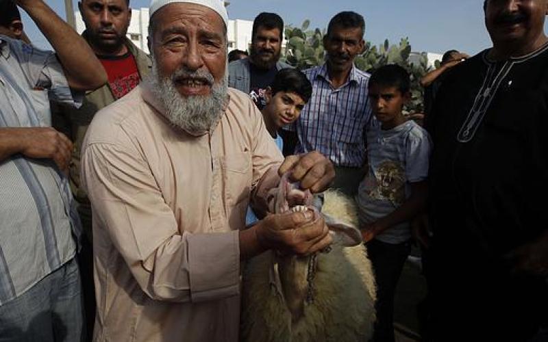 بالصور.. إقبال على شراء "الخراف" بغزة