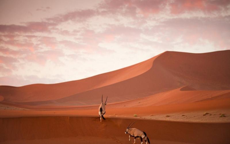 صور.. الطبيعة الساحرة بعدسة أمهر المصورين