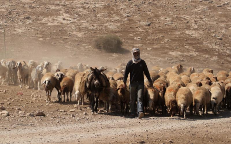 صور: نشطاء يبنون "خربة مكحول" بعد هدمها