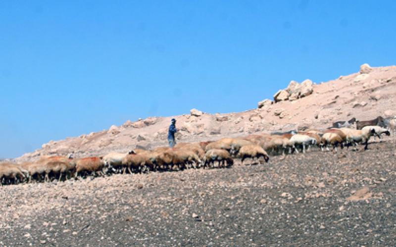 صور: نشطاء يبنون "خربة مكحول" بعد هدمها