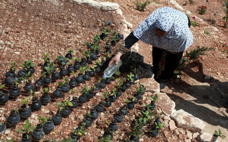 صور: في الضفة.. قنابل الموت طريق للحياة