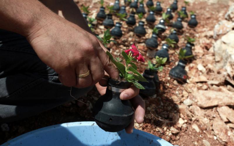 صور: في الضفة.. قنابل الموت طريق للحياة