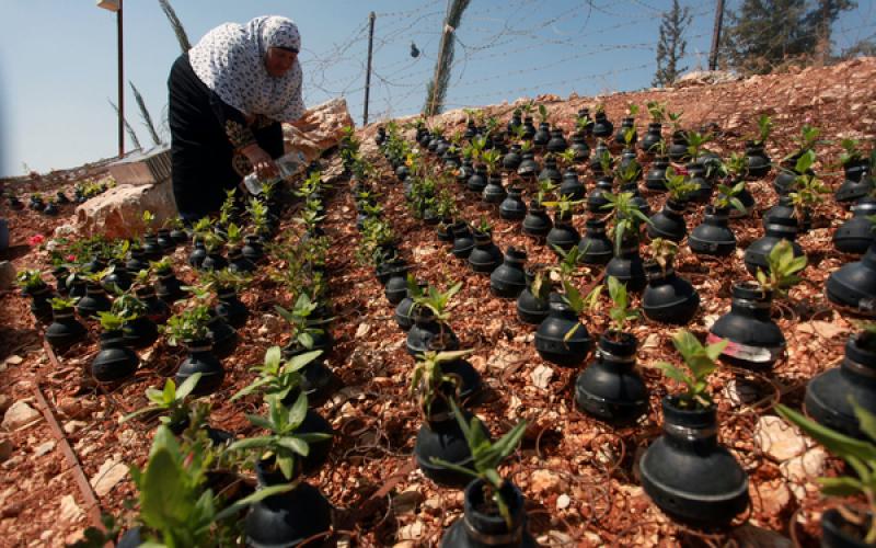 صور: في الضفة.. قنابل الموت طريق للحياة