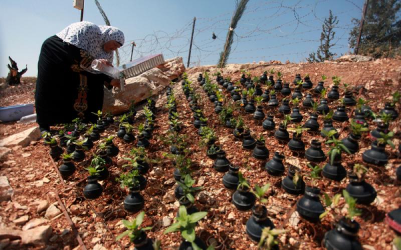 صور: في الضفة.. قنابل الموت طريق للحياة