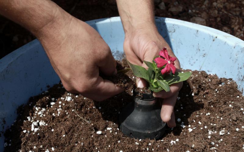 صور: في الضفة.. قنابل الموت طريق للحياة