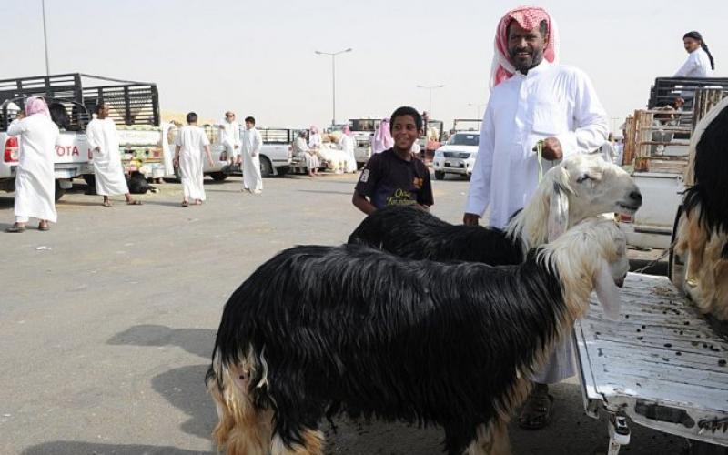 صور: الأضاحي في العالم الإسلامي