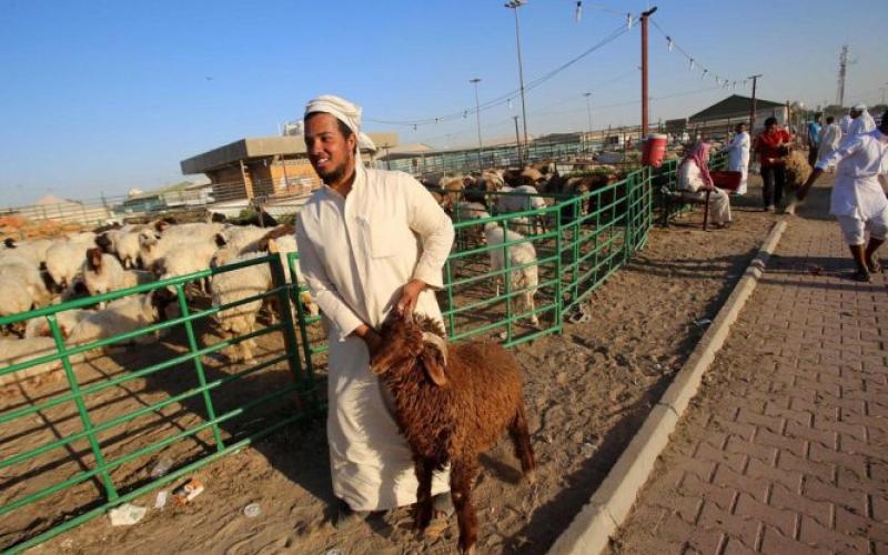 صور: الأضاحي في العالم الإسلامي