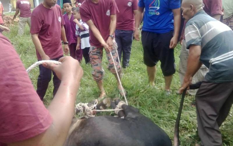 صور: ذبح الأضاحي في ماليزيا