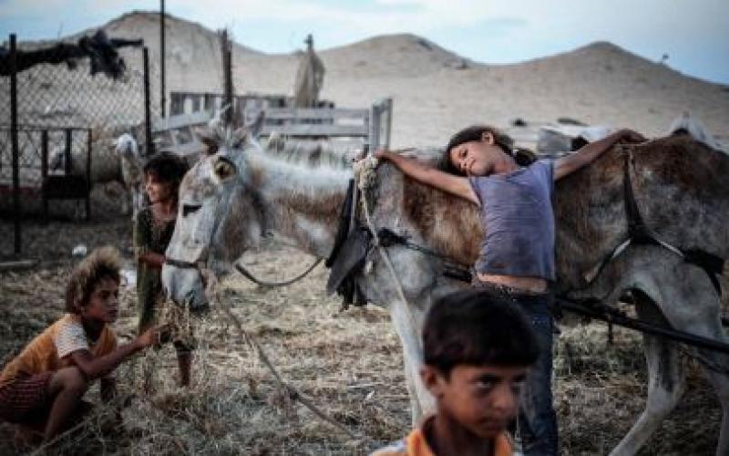 مصور فلسطيني يفوز بجائزة "أفضل صورة إنسانية"