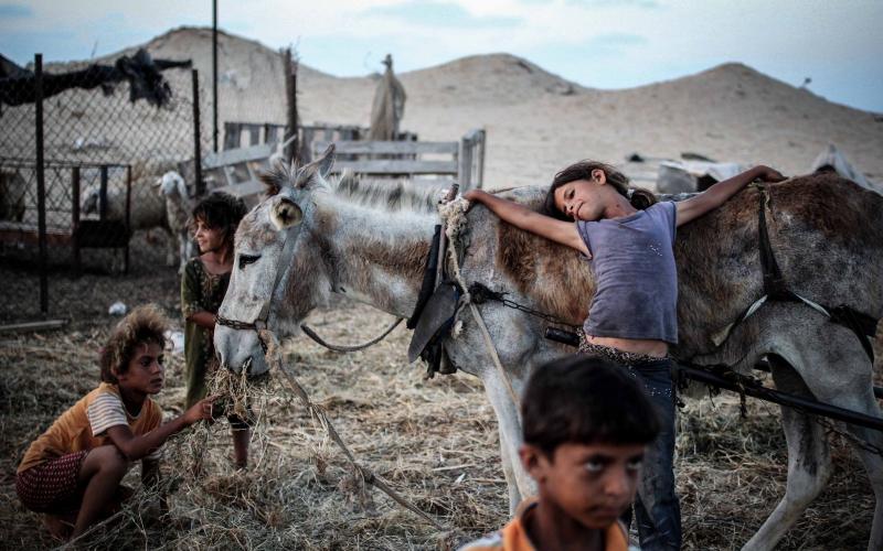 مصور فلسطيني يفوز بجائزة "أفضل صورة إنسانية"