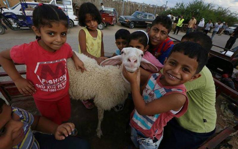 صور: سوق الأضاحي بغزة استعداداً للعيد