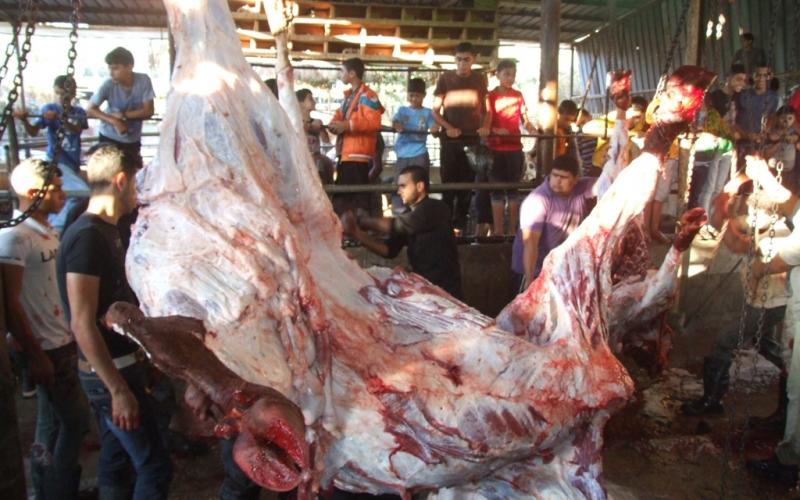 صور: صلاة الأضحى وذبح الأضاحي وسط قطاع غزة
