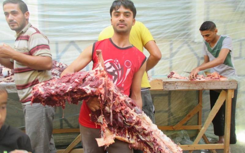 صور: أضاحي العيد في غزة
