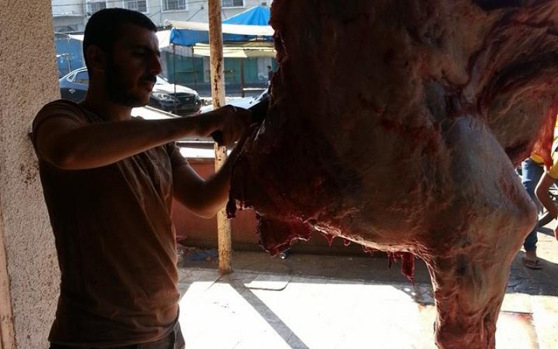 صور: أضاحي العيد في غزة