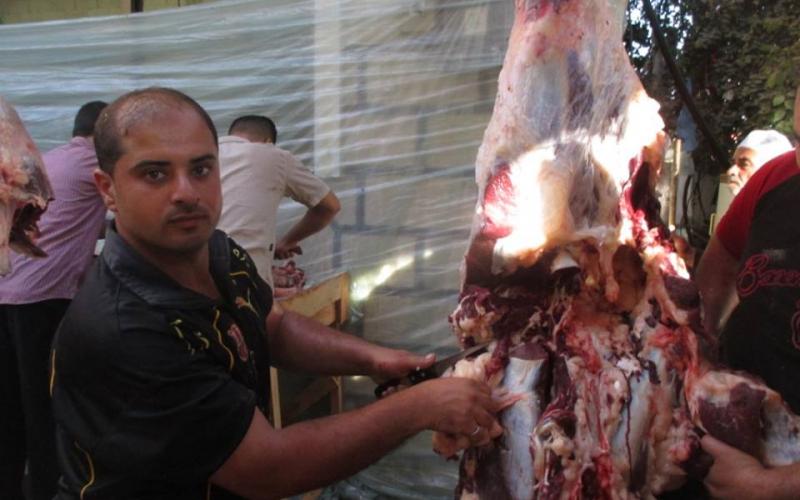 صور: أضاحي العيد في غزة
