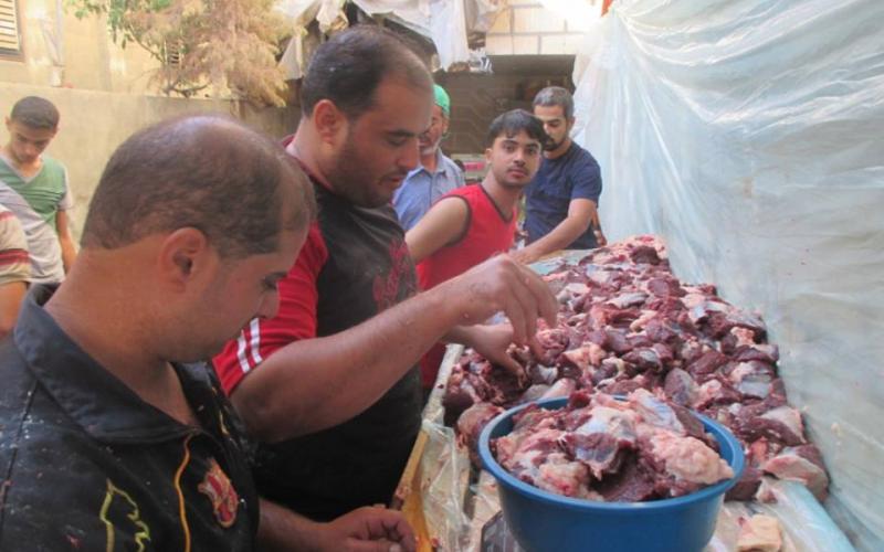 صور: أضاحي العيد في غزة