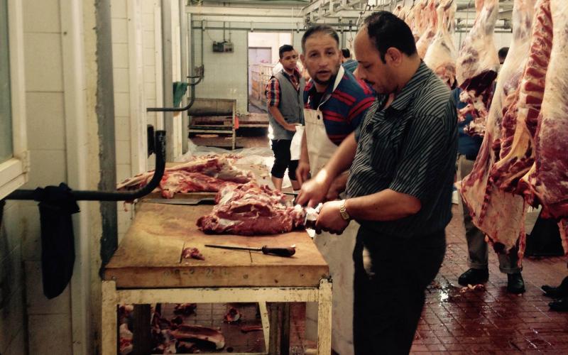 صور: "مسلخ نابلس" خلية نحل خلال العيد