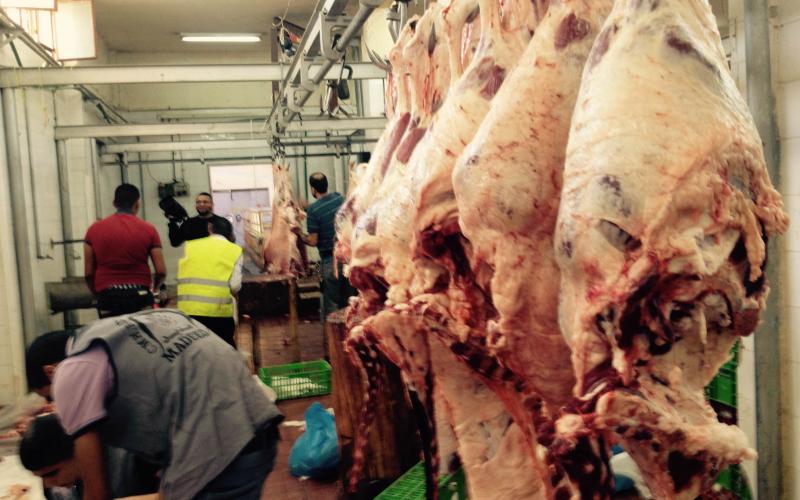 صور: "مسلخ نابلس" خلية نحل خلال العيد