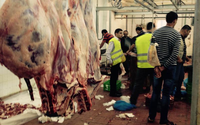 صور: "مسلخ نابلس" خلية نحل خلال العيد