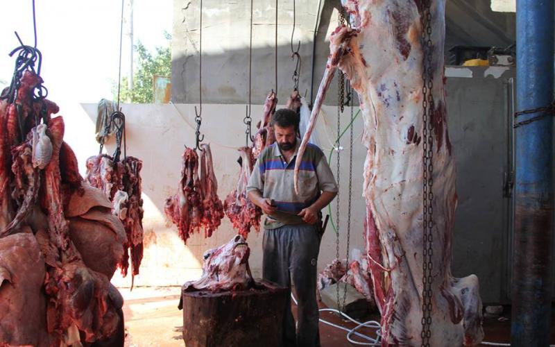 بالصور: "حماس" توزع 47 طناً من اللحوم بالوسطى