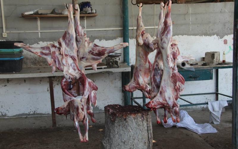 بالصور: "حماس" توزع 47 طناً من اللحوم بالوسطى