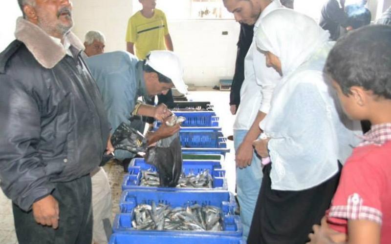 صور: جولة رئيس بلدية النصيرات على سوق المخيم‎